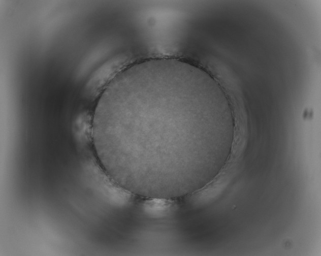 X0000111620672200907311204