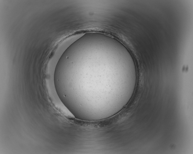 X0000111620673200907311203