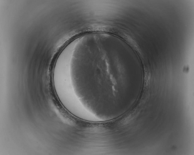 X0000111620674200907311203