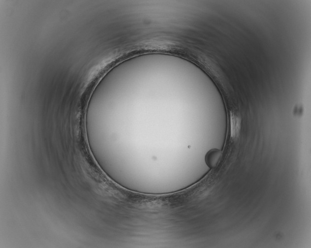 X0000111620675200907311203