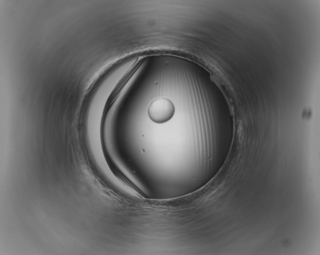 X0000111620676200907311203