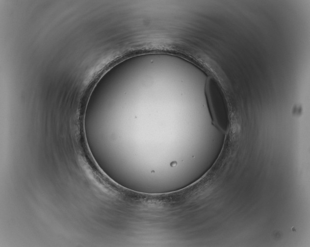 X0000111620677200907311203