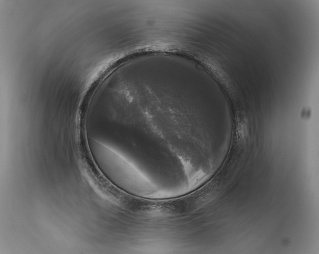 X0000111620678200907311203