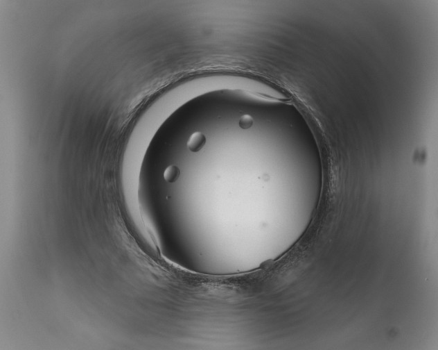 X0000111620681200907311203