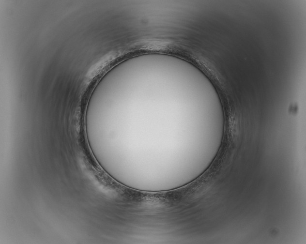 X0000111620682200907311203