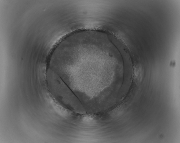 X0000111620684200907311203