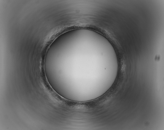 X0000111620685200907311203