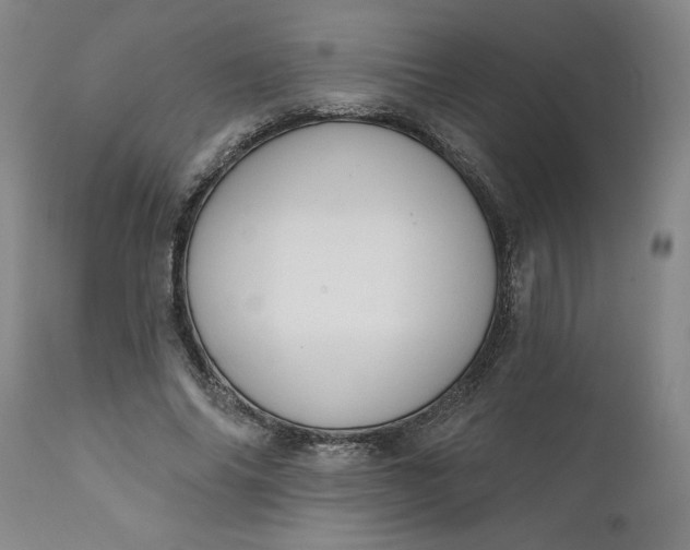 X0000111620686200907311203