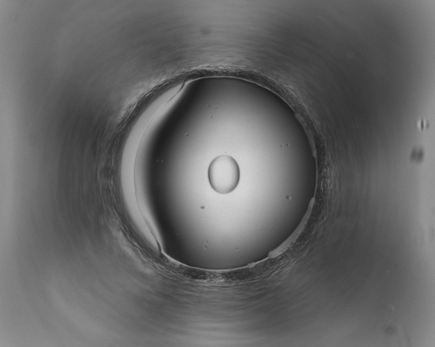 X0000111620688200907311203