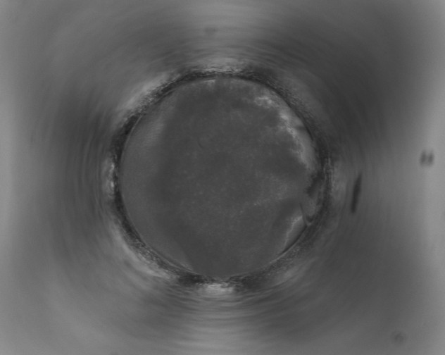 X0000111620692200907311203