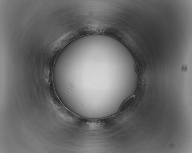 X0000111620693200907311203