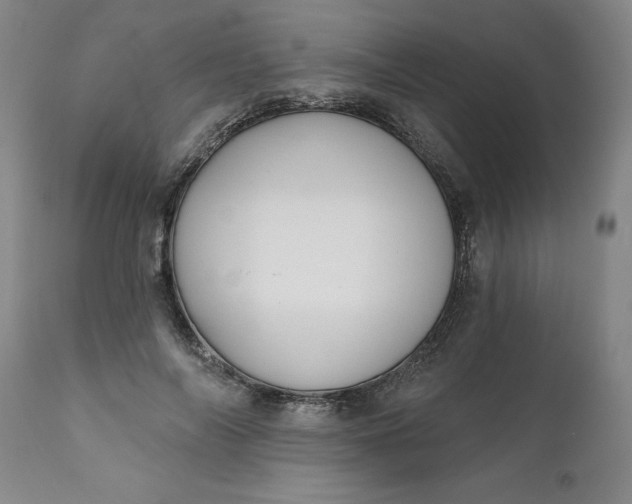 X0000111620694200907311203