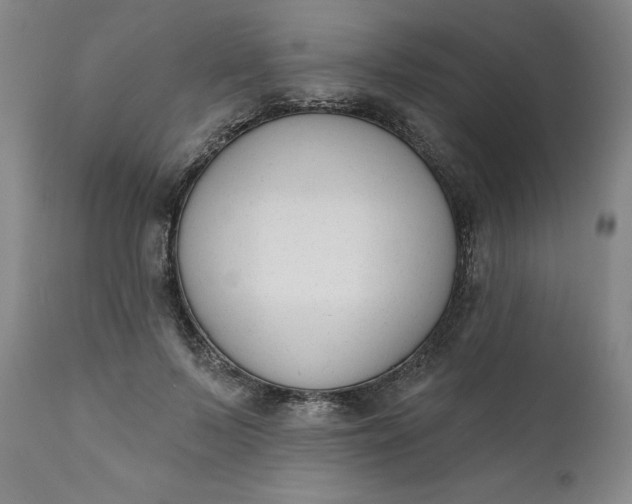 X0000111620695200907311203