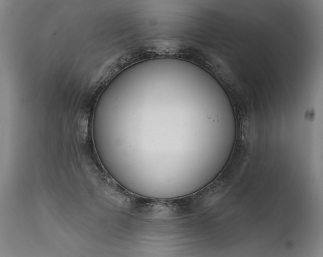 X0000111620697200907311203