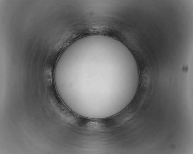 X0000111620699200907311203