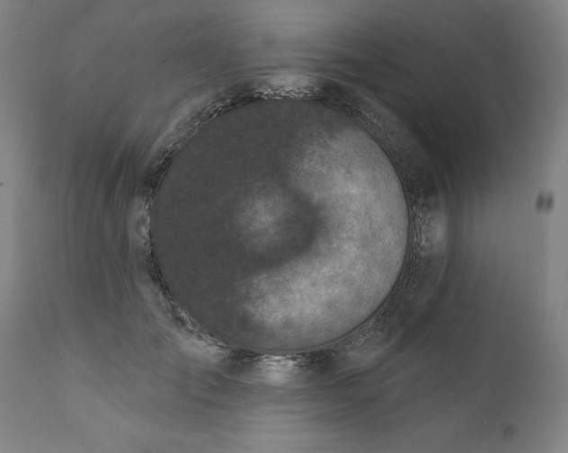 X0000111620701200907311203