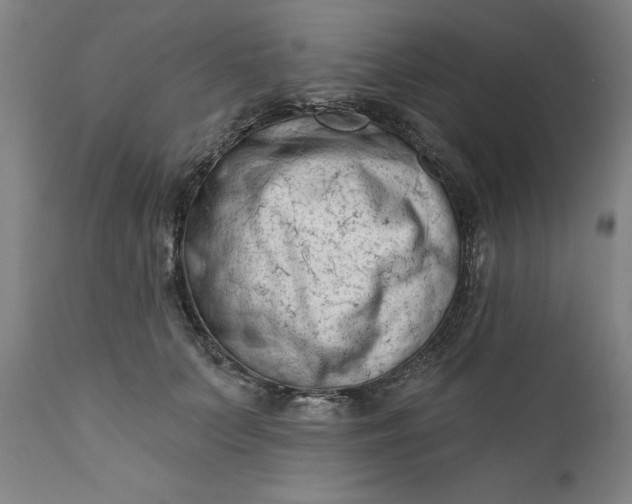 X0000111620703200907311203