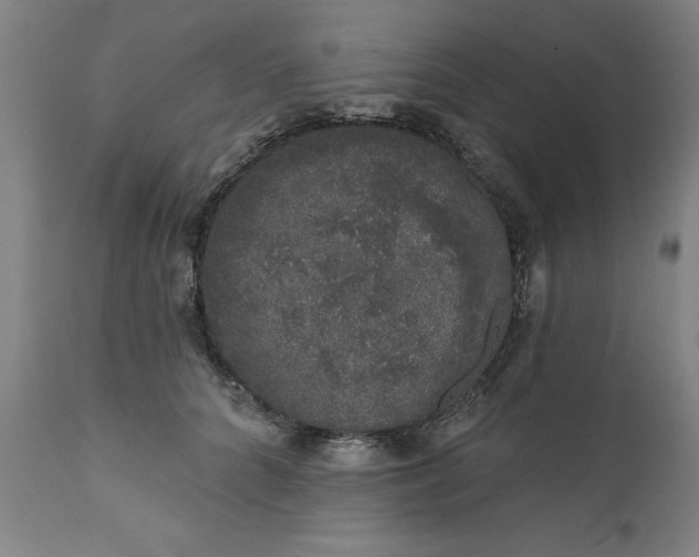 X0000111620704200907311203