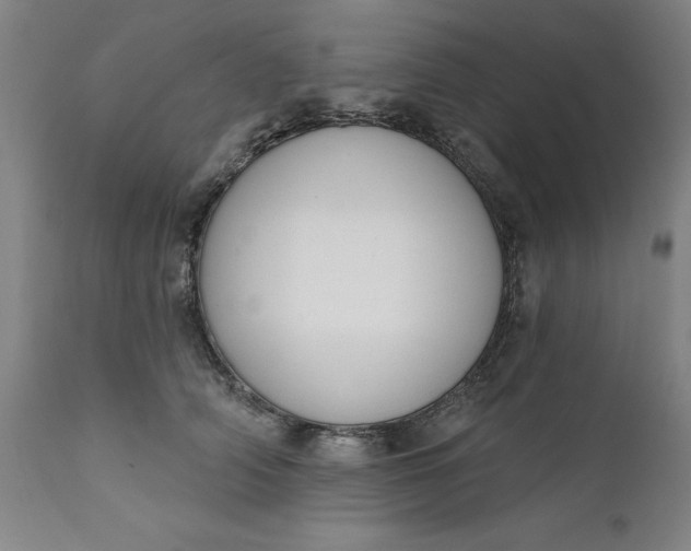 X0000111620706200907311203