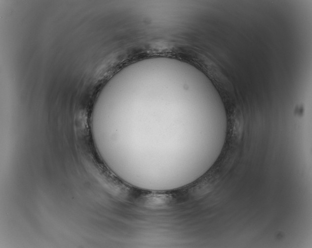 X0000111620711200907311202