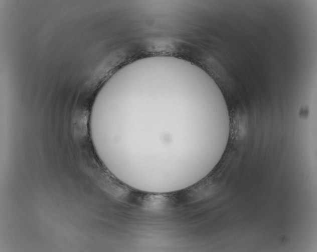 X0000111620717200907311202