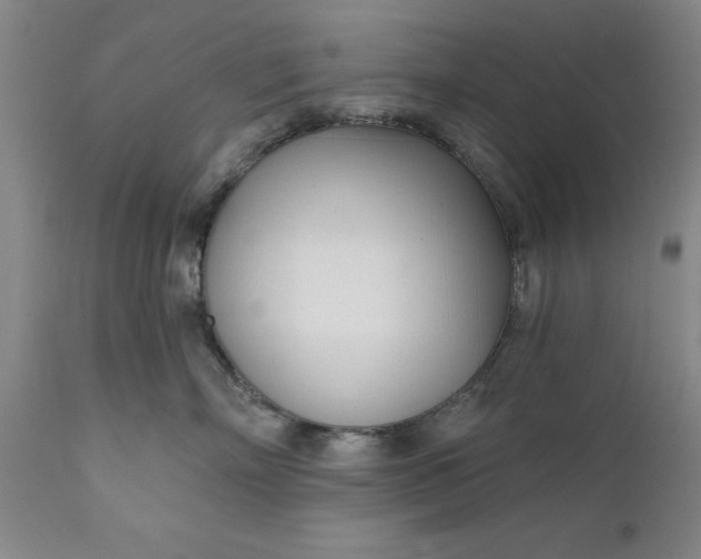 X0000111620718200907311202