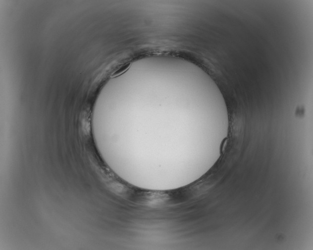 X0000111620719200907311202