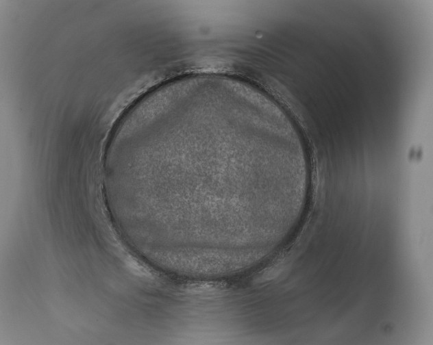 X0000111620721200907311201