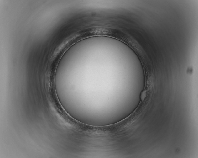 X0000111620722200907311201