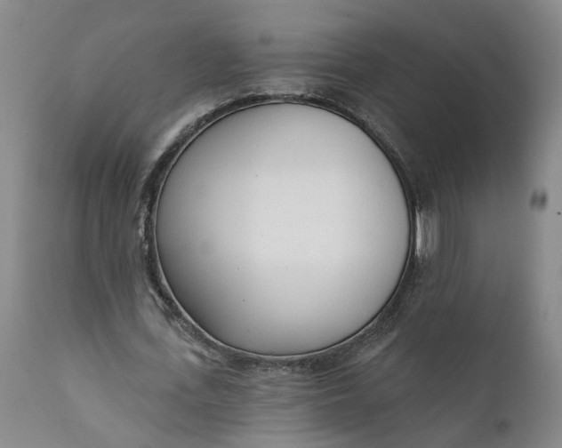 X0000111620723200907311201