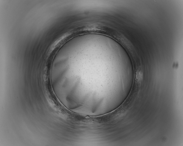 X0000111620724200907311201