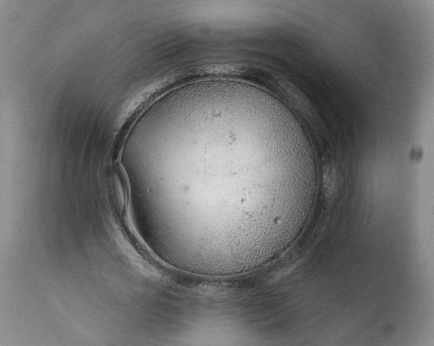 X0000111620725200907311201