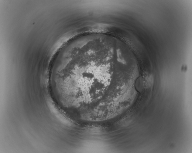 X0000111620726200907311201