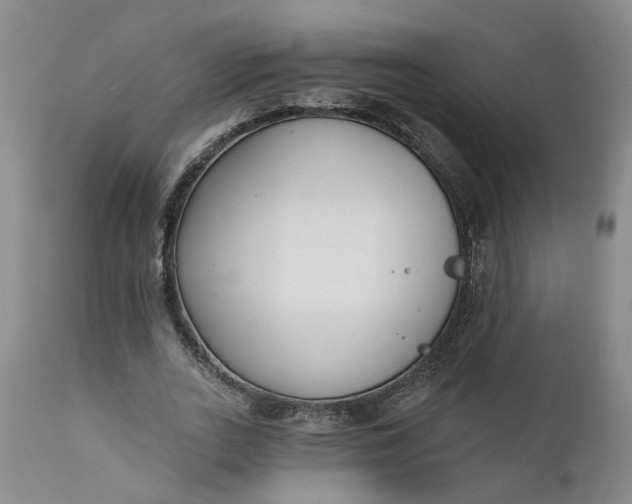 X0000111620727200907311202