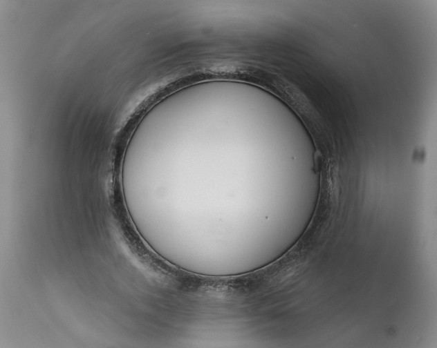 X0000111620728200907311202