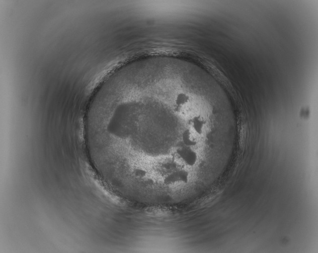 X0000111620729200907311202