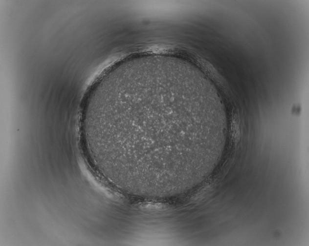 X0000111620730200907311202