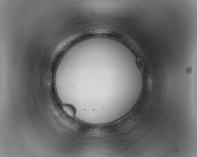 X0000111620732200907311202