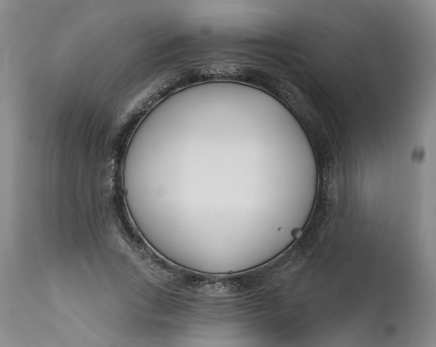 X0000111620735200907311202