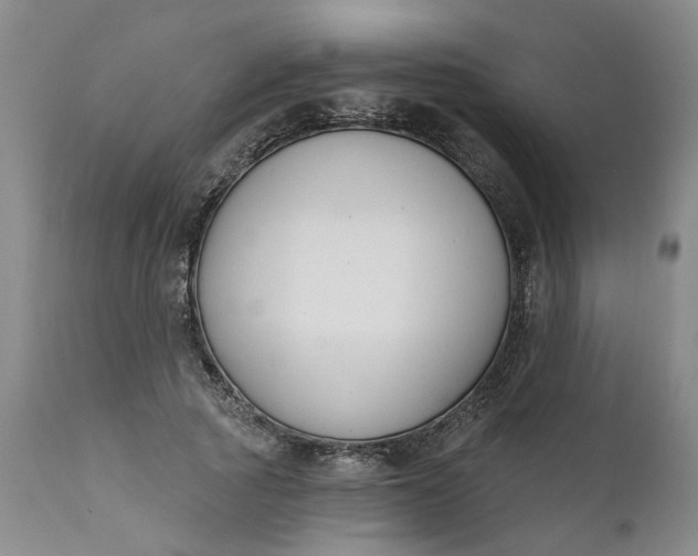 X0000111620737200907311202