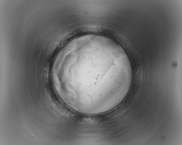 X0000111620739200907311202