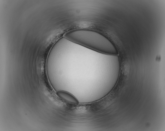 X0000111620740200907311202