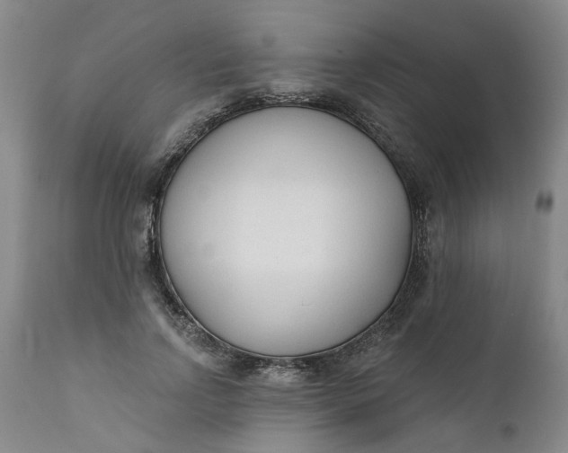 X0000111620742200907311202