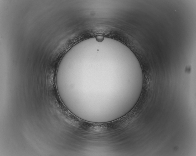 X0000111620745200907311202