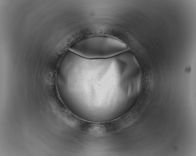 X0000111620750200907311202