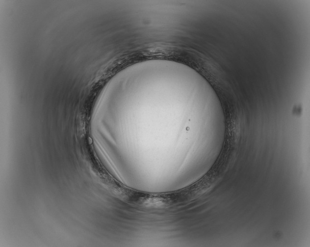 X0000111620751200907311202