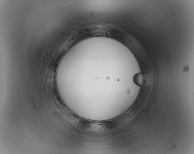 X0000111620753200907311202