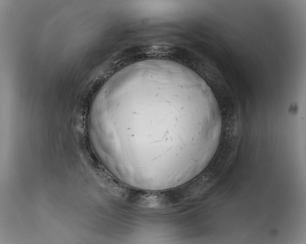 X0000111620755200907311202