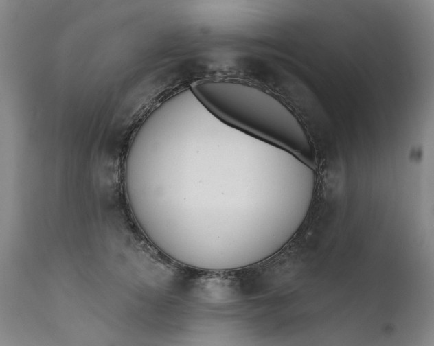 X0000111620756200907311202