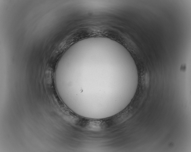 X0000111620757200907311202